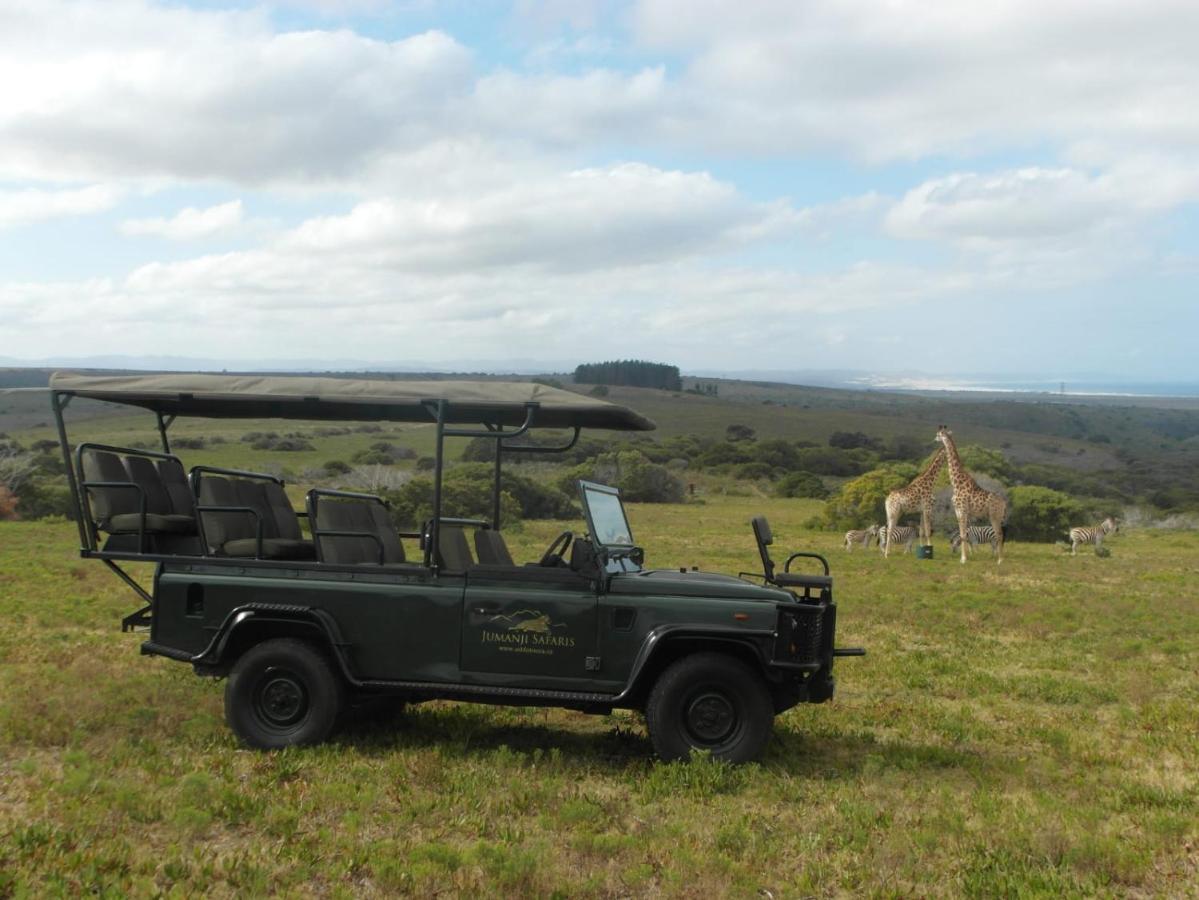Fijnbosch Game Lodge Jeffreys Bay Exterior foto
